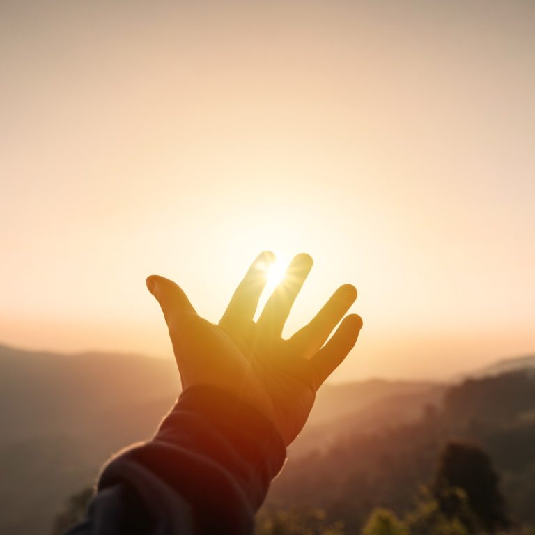 87669_thumbnail_shutterstock_2172689603